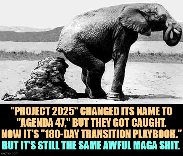 The Constitution was good enough for our Founding Fathers, but not for the Heritage Foundation. | "PROJECT 2025" CHANGED ITS NAME TO
"AGENDA 47," BUT THEY GOT CAUGHT.
NOW IT'S "180-DAY TRANSITION PLAYBOOK."; BUT IT'S STILL THE SAME AWFUL MAGA SHIT. | image tagged in gop republican elephant crap shit,project 2025,agenda 47,180 day transition playbook,constitution,founding fathers | made w/ Imgflip meme maker