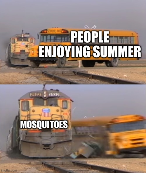 true though | PEOPLE ENJOYING SUMMER; MOSQUITOES | image tagged in a train hitting a school bus,memes,relatable | made w/ Imgflip meme maker