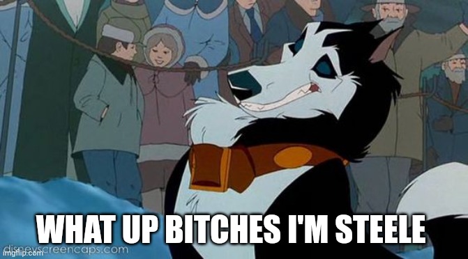 What Up | WHAT UP BITCHES I'M STEELE | image tagged in steele,balto | made w/ Imgflip meme maker