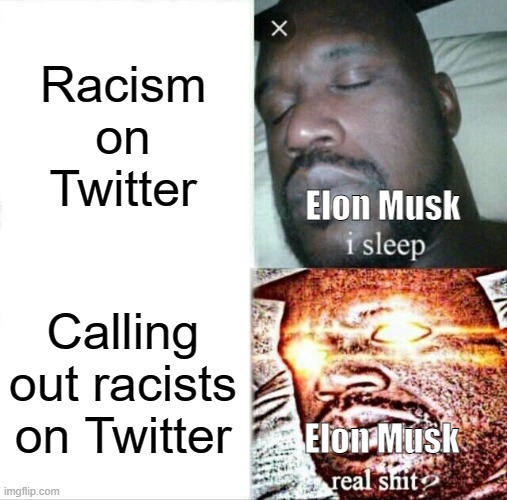 Far Too True | Racism on Twitter; Elon Musk; Calling out racists on Twitter; Elon Musk | image tagged in memes,sleeping shaq,twitter,elon musk | made w/ Imgflip meme maker