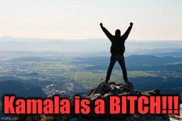 Shout It from the Mountain Tops | Kamala is a BITCH!!! | image tagged in shout it from the mountain tops | made w/ Imgflip meme maker