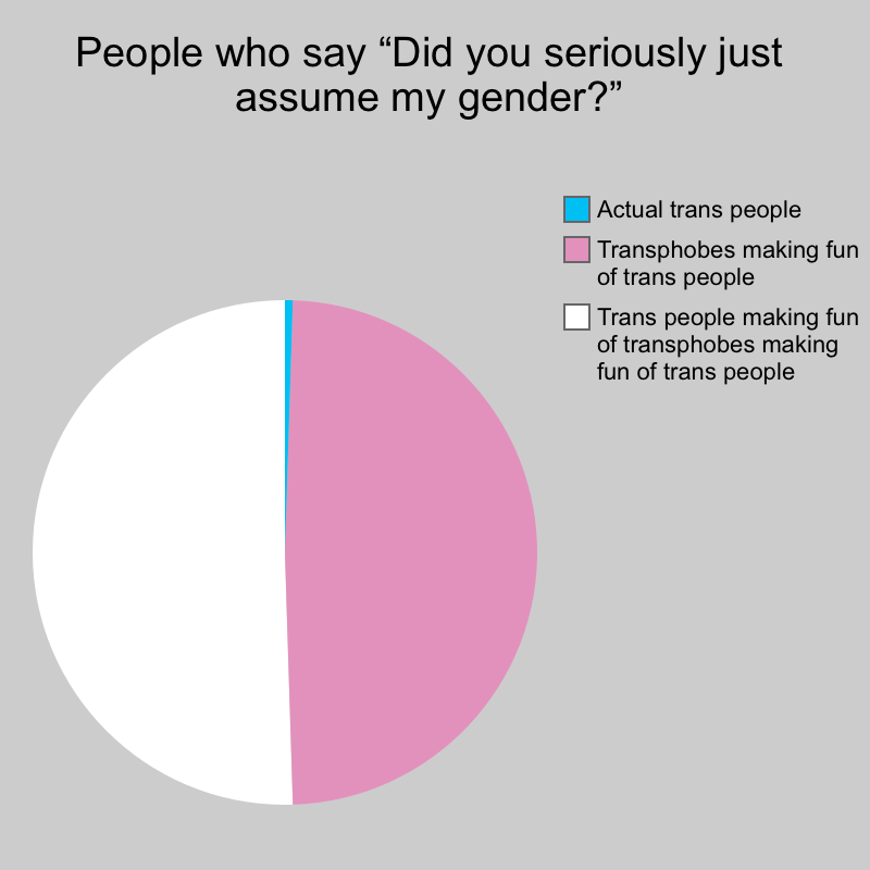 People who say “Did you seriously just assume my gender?” | Trans people making fun of transphobes making fun of trans people, Transphobes m | image tagged in charts,pie charts | made w/ Imgflip chart maker