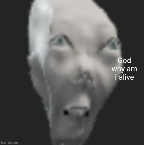 God why am I alive | image tagged in idk | made w/ Imgflip meme maker