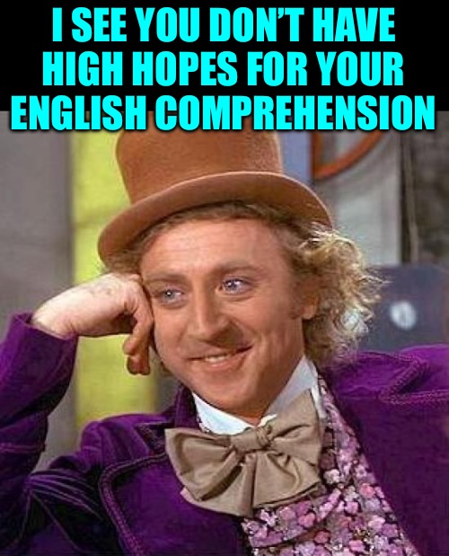 Creepy Condescending Wonka Meme | I SEE YOU DON’T HAVE
HIGH HOPES FOR YOUR
ENGLISH COMPREHENSION | image tagged in memes,creepy condescending wonka | made w/ Imgflip meme maker