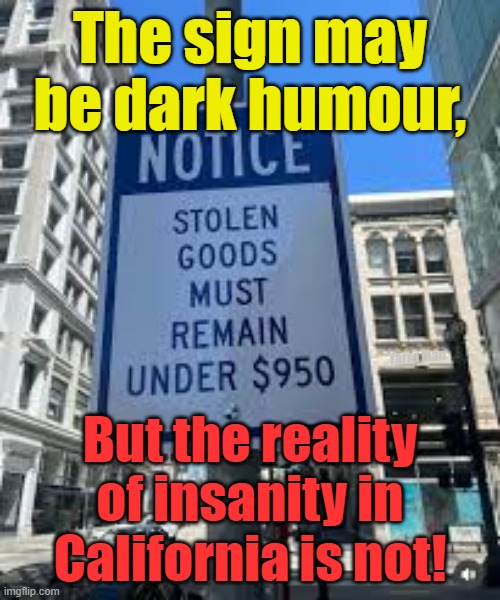 The Insanity of California, now equal to South Africa, Zimbabwe or Venezuela! | The sign may be dark humour, Yarra Man; But the reality of insanity in California is not! | image tagged in gavin newsom,the fall of california,tragedy,engineered destruction,usa,democrats | made w/ Imgflip meme maker