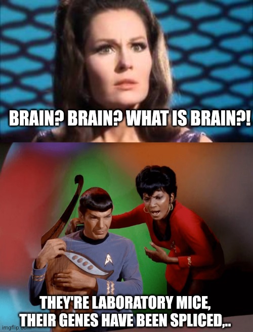 Brain | BRAIN? BRAIN? WHAT IS BRAIN?! THEY'RE LABORATORY MICE, THEIR GENES HAVE BEEN SPLICED,.. | image tagged in star trek | made w/ Imgflip meme maker