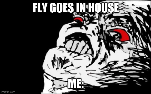 KILL THE FLY | FLY GOES IN HOUSE; ME: | image tagged in memes,mega rage face,fly,bugs | made w/ Imgflip meme maker