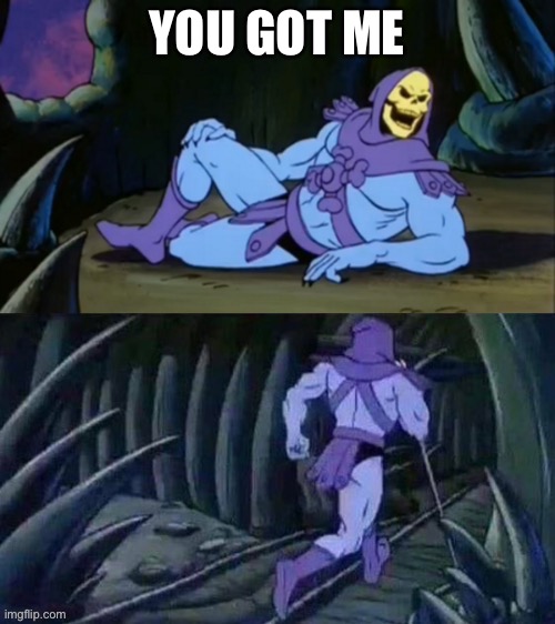 Skeletor disturbing facts | YOU GOT ME | image tagged in skeletor disturbing facts | made w/ Imgflip meme maker