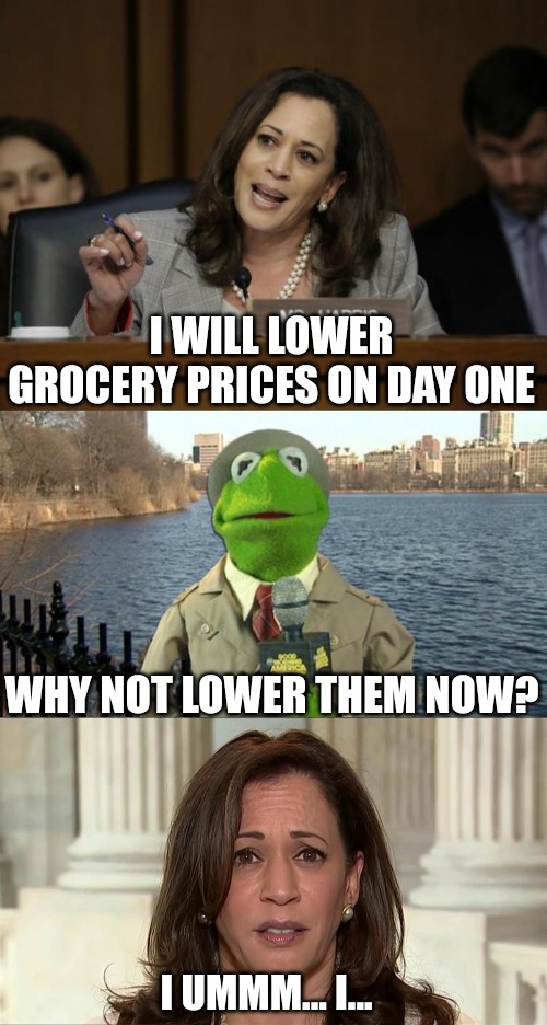 Blowing smoke up your ass and other lies the left try to tell. | I WILL LOWER GROCERY PRICES ON DAY ONE; WHY NOT LOWER THEM NOW? I UMMM... I... | image tagged in kamala harris,kermit news report | made w/ Imgflip meme maker