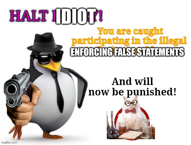 Halt furry | IDIOT ENFORCING FALSE STATEMENTS | image tagged in halt furry | made w/ Imgflip meme maker