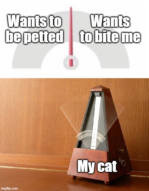 Pendulum Indecisive | Wants to bite me; Wants to be petted; My cat | image tagged in pendulum indecisive | made w/ Imgflip meme maker