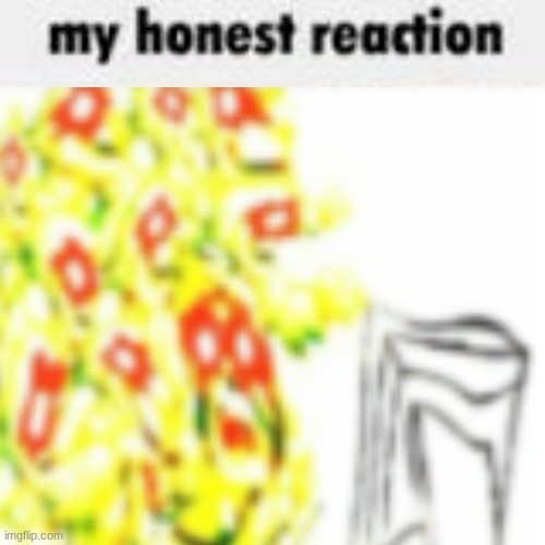 my honest reaction Blank Meme Template