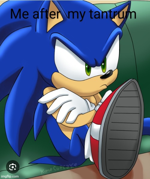 Credits to my brother | image tagged in sonic the hedgehog,tantrum,credits to sibling | made w/ Imgflip meme maker