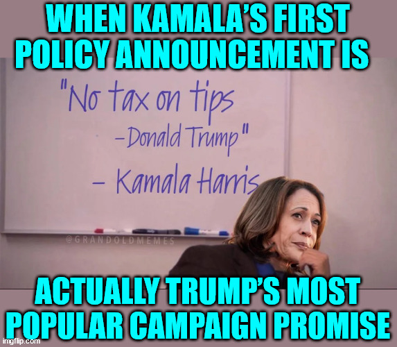 WHEN KAMALA’S FIRST POLICY ANNOUNCEMENT IS ACTUALLY TRUMP’S MOST POPULAR CAMPAIGN PROMISE | made w/ Imgflip meme maker