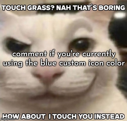 how about I touch you instead? | comment if you're currently using the blue custom icon color | image tagged in how about i touch you instead | made w/ Imgflip meme maker