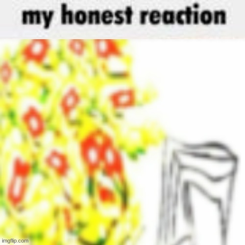 my honest reaction | image tagged in my honest reaction | made w/ Imgflip meme maker