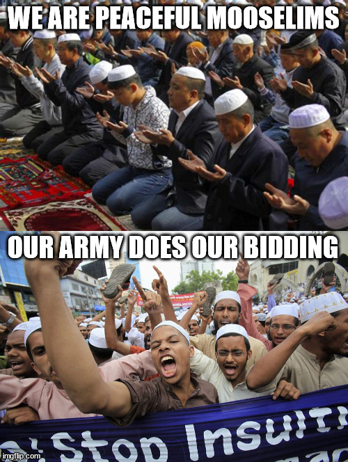 Religion of Peace | WE ARE PEACEFUL MOOSELIMS; OUR ARMY DOES OUR BIDDING | image tagged in islam,moohamud,quoran,inshallah,religious war | made w/ Imgflip meme maker