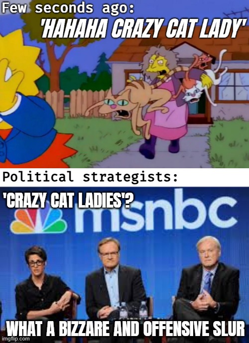 Political strategists:; 'CRAZY CAT LADIES'? WHAT A BIZZARE AND OFFENSIVE SLUR | image tagged in msnbc hosts are stupid,biased media,american politics,democrats | made w/ Imgflip meme maker