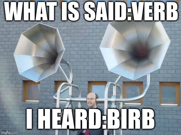 Birb | WHAT IS SAID:VERB; I HEARD:BIRB | image tagged in hearingaid,birb | made w/ Imgflip meme maker