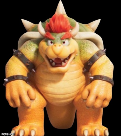 Bowser Model (TSMBM) | image tagged in bowser model tsmbm | made w/ Imgflip meme maker
