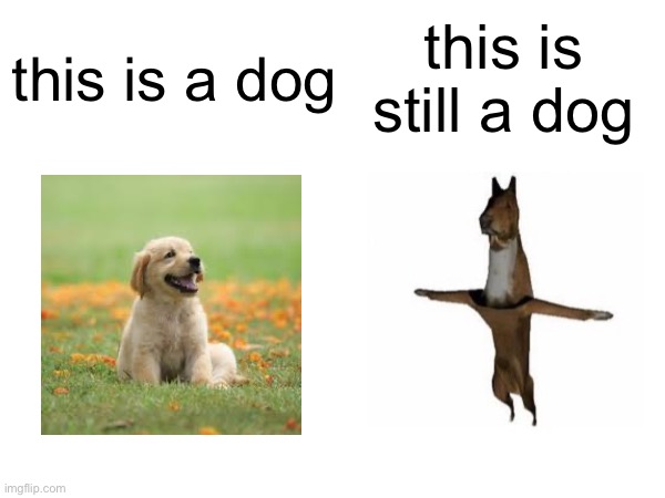 this is still a dog; this is a dog | made w/ Imgflip meme maker