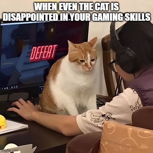 gaming skills | WHEN EVEN THE CAT IS DISAPPOINTED IN YOUR GAMING SKILLS | image tagged in memes | made w/ Imgflip meme maker