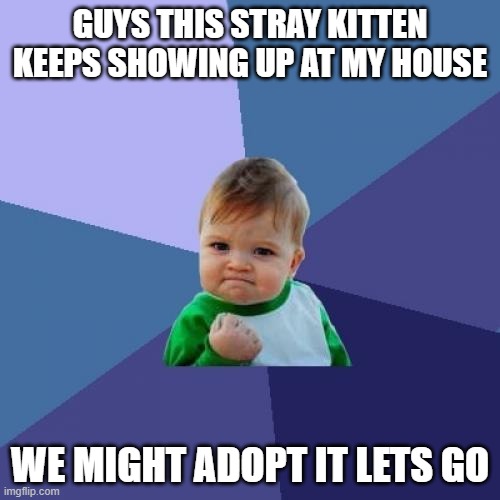 kot | GUYS THIS STRAY KITTEN KEEPS SHOWING UP AT MY HOUSE; WE MIGHT ADOPT IT LETS GO | image tagged in memes,success kid | made w/ Imgflip meme maker