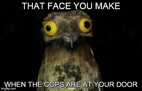 Weird Stuff I Do Potoo Meme | THAT FACE YOU MAKE WHEN THE COPS ARE AT YOUR DOOR | image tagged in memes,weird stuff i do potoo | made w/ Imgflip meme maker