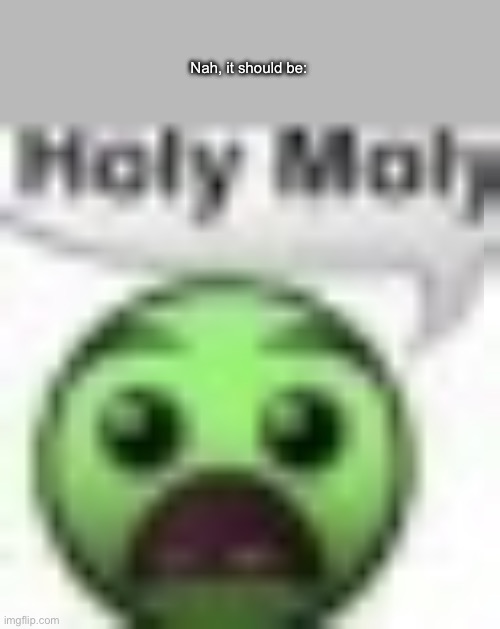 holy moly | Nah, it should be: | image tagged in holy moly | made w/ Imgflip meme maker