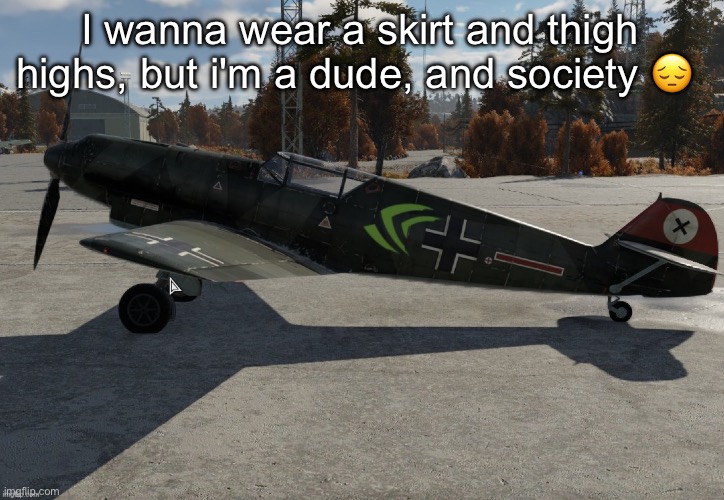 Nvidia plane | I wanna wear a skirt and thigh highs, but i'm a dude, and society 😔 | image tagged in nvidia plane | made w/ Imgflip meme maker