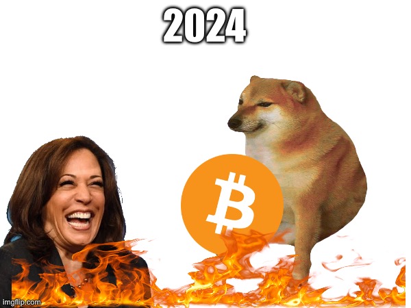 2024 in 2024 #wearescrewed | 2024 | image tagged in funny | made w/ Imgflip meme maker