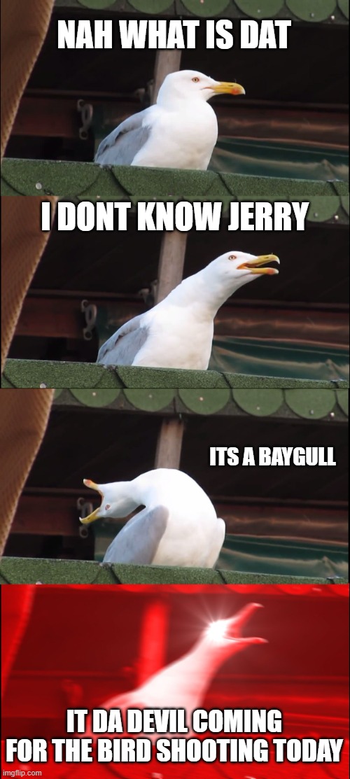 Inhaling Seagull | NAH WHAT IS DAT; I DONT KNOW JERRY; ITS A BAYGULL; IT DA DEVIL COMING FOR THE BIRD SHOOTING TODAY | image tagged in memes,inhaling seagull | made w/ Imgflip meme maker