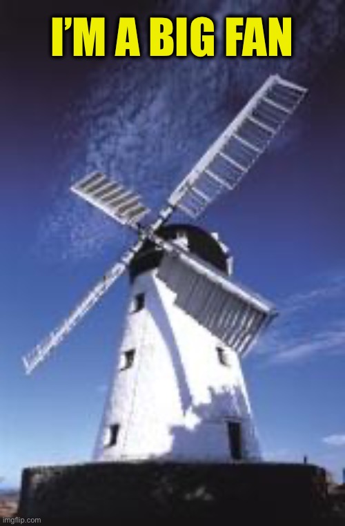 Windmill91 | I’M A BIG FAN | image tagged in windmill91 | made w/ Imgflip meme maker