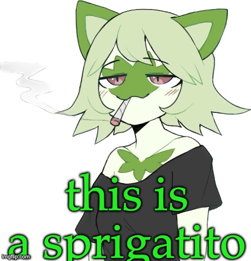 weed cat | this is a sprigatito | image tagged in weed cat | made w/ Imgflip meme maker