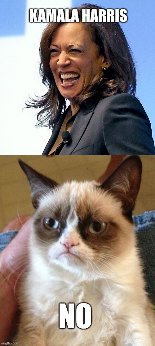 Smart cat | KAMALA HARRIS; NO | image tagged in memes,grumpy cat,kamala harris,democrats,scumbags | made w/ Imgflip meme maker