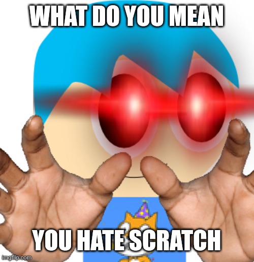 What do you mean | WHAT DO YOU MEAN; YOU HATE SCRATCH | image tagged in me grabbing your soul,scratch | made w/ Imgflip meme maker