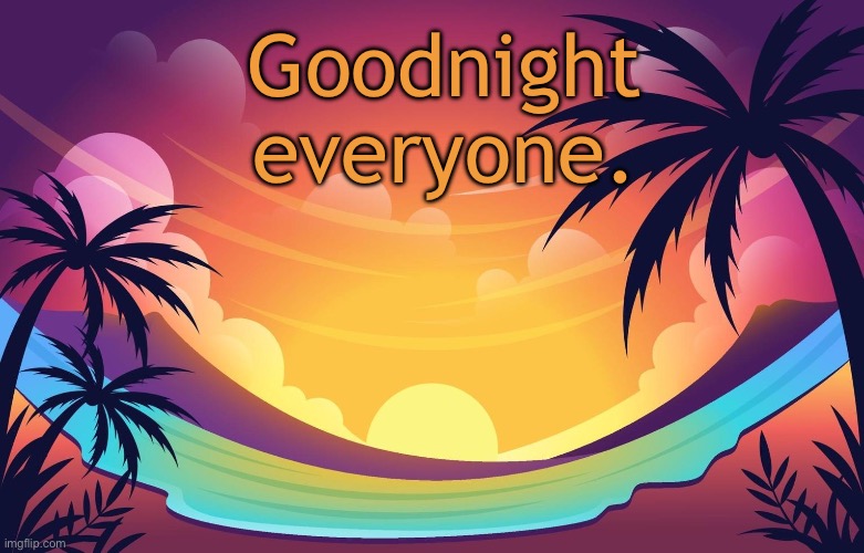 Trez (Summer) | Goodnight everyone. | image tagged in trez summer | made w/ Imgflip meme maker