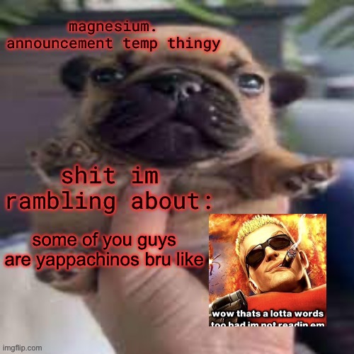 pug temp | some of you guys are yappachinos bru like | image tagged in pug temp | made w/ Imgflip meme maker