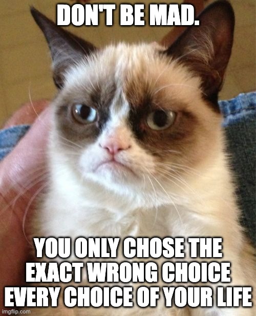 Grumpy Cat | DON'T BE MAD. YOU ONLY CHOSE THE EXACT WRONG CHOICE EVERY CHOICE OF YOUR LIFE | image tagged in memes,grumpy cat | made w/ Imgflip meme maker