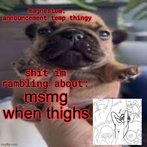 pug temp | msmg when thighs | image tagged in pug temp | made w/ Imgflip meme maker