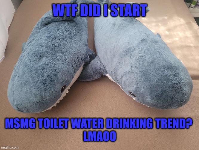 My brother's and my blahaj | WTF DID I START; MSMG TOILET WATER DRINKING TREND? 
LMAOO | image tagged in my brother's and my blahaj | made w/ Imgflip meme maker