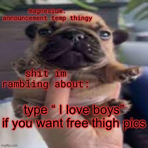 pug temp | type “ I love boys” if you want free thigh pics | image tagged in pug temp | made w/ Imgflip meme maker