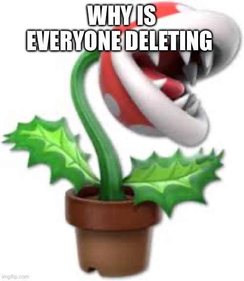 piranha plant | WHY IS EVERYONE DELETING | image tagged in piranha plant | made w/ Imgflip meme maker