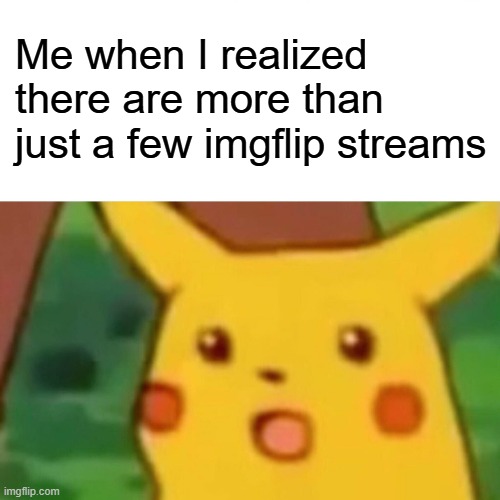 I just learned that recently. | Me when I realized there are more than just a few imgflip streams | image tagged in memes,surprised pikachu,fun,pov,oh wow are you actually reading these tags | made w/ Imgflip meme maker