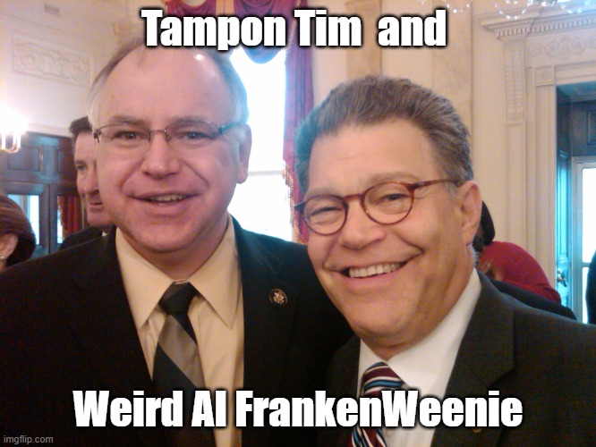 Tim Walz & Al Franken Weird | Tampon Tim  and Weird Al FrankenWeenie | image tagged in tim walz al franken weird | made w/ Imgflip meme maker