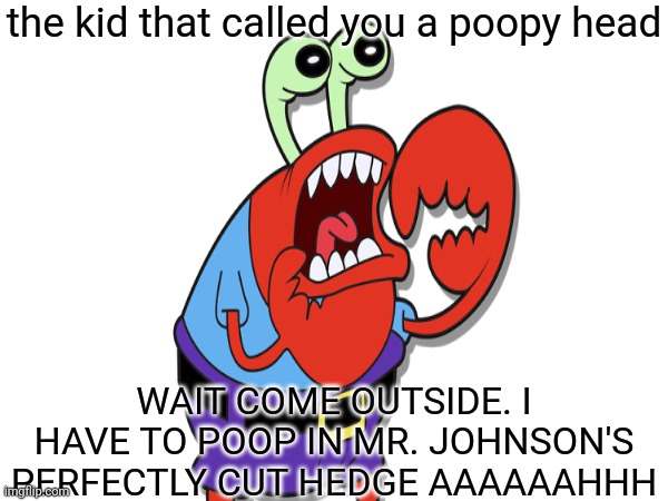 the kid that called you a poopy head; WAIT COME OUTSIDE. I HAVE TO POOP IN MR. JOHNSON'S PERFECTLY CUT HEDGE AAAAAAHHH | made w/ Imgflip meme maker