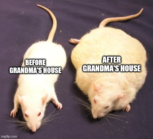 Two rats | AFTER GRANDMA'S HOUSE; BEFORE GRANDMA'S HOUSE | image tagged in two rats,grandma | made w/ Imgflip meme maker