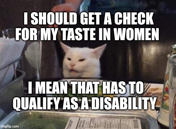 Smudge that darn cat | I SHOULD GET A CHECK FOR MY TASTE IN WOMEN; I MEAN THAT HAS TO QUALIFY AS A DISABILITY | image tagged in smudge that darn cat | made w/ Imgflip meme maker