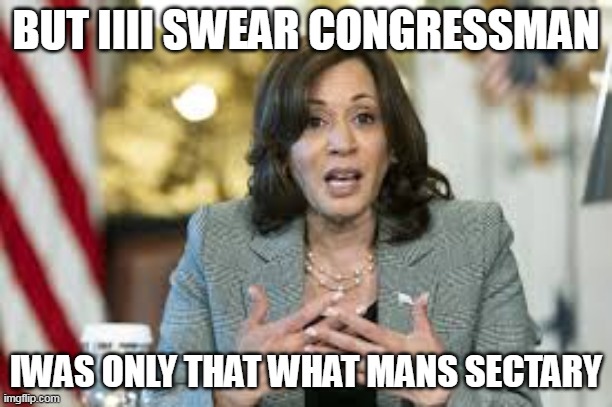 BUT IIII SWEAR CONGRESSMAN; IWAS ONLY THAT WHAT MANS SECTARY | image tagged in funny | made w/ Imgflip meme maker