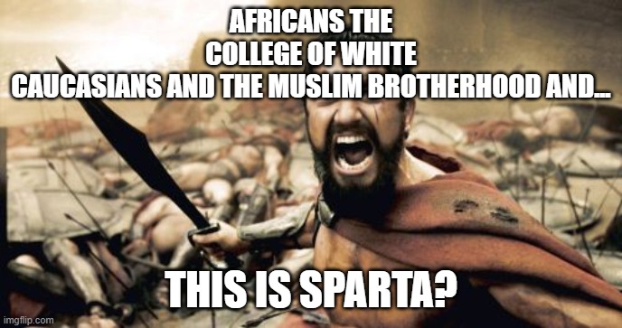 Sparta Leonidas Meme | AFRICANS THE COLLEGE OF WHITE CAUCASIANS AND THE MUSLIM BROTHERHOOD AND... THIS IS SPARTA? | image tagged in memes,sparta leonidas | made w/ Imgflip meme maker